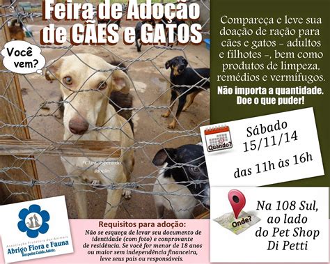 Abrigo Flora E Fauna 1511 Sábado Feira De Adoção De Cães E Gatos