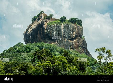 Sigiriya Rock And Jungle Sri Lanka Stock Photo Alamy
