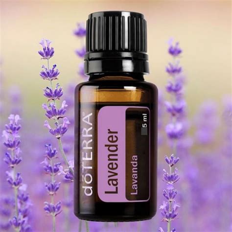 Óleo essencial de lavanda doTerra Original 5ml Shopee Brasil