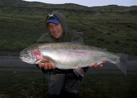 Rainbow Trout Of Katse Dam The Mission Fly Fishing Magazine