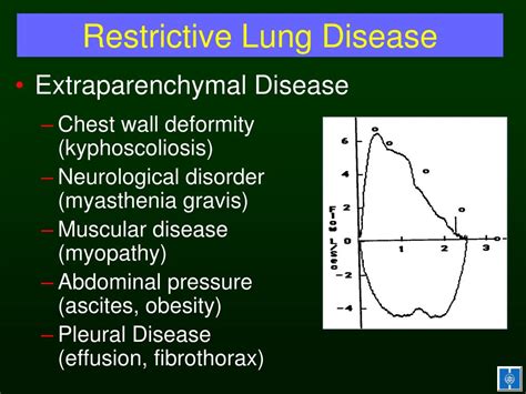 Ppt Pulmonary Function Testing Powerpoint Presentation Free Download