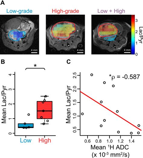 Hyperpolarized 1 13 C Pyruvate Imaging In TRAMP Mice Confirms