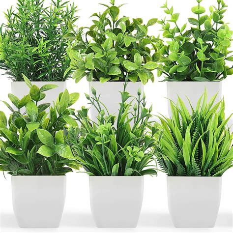 Buy Wyte Origin Artificial Potted Plants Pack Artificial Plastic