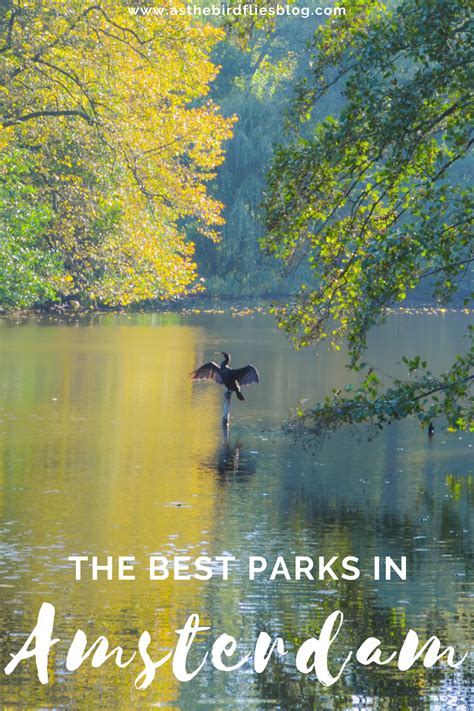 Amsterdam Travel List Of Amsterdams Best Parks And Green Spaces