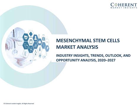 Mesenchymal Stem Cells Market Size Trends Shares Insights And