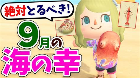 【あつ森】9月の海の幸をすべて紹介！秋のレアな海の幸や値段、動きの速さ、泡、見分け方のコツをコンプしながら解説！メンダコやオオシャコガイを効率