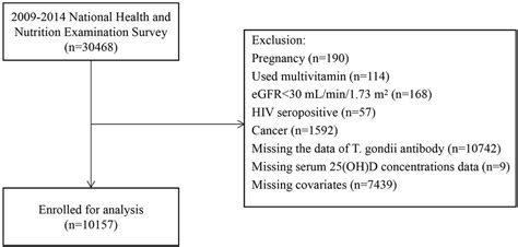 Frontiers Inverted U Shaped Relationship Between Serum 25