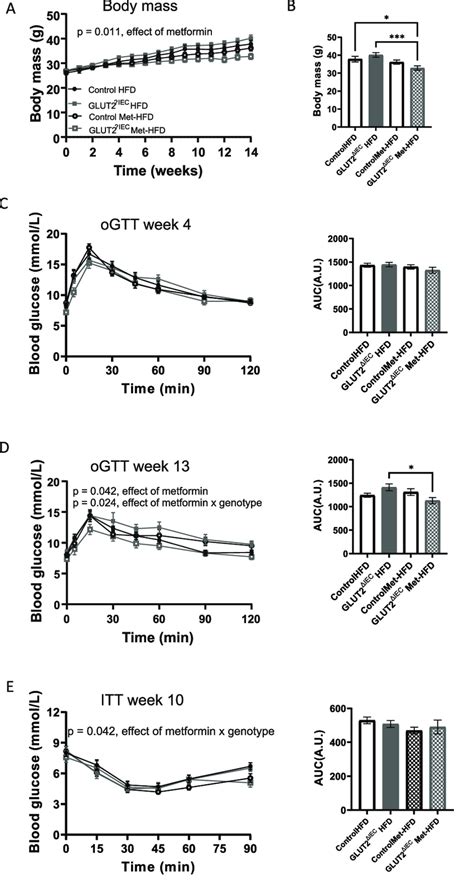 Glut2 Diec Slc2a2 Intestinal Specific Knock Out Male Mice Fed Met Hfd Download Scientific