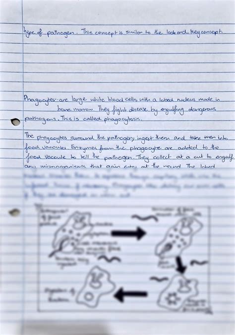 Solution Cie Igcse Biology Extended Syllabus To Blood