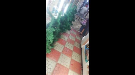 Latina Hermosa En Calsa Ajustada