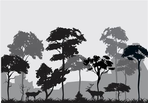 Forest Trees Silhouettes Landscape Background Vector Stock Vector