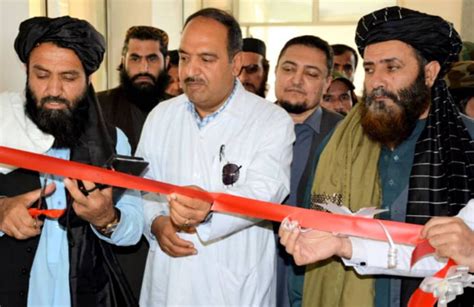 bkhsh grahy klb bray nkhstynbar dr shfakhanh shhyd srdar mhmd daod khan
