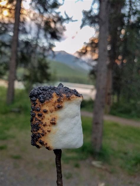 Banff Comfort Camping In Otentiks At Two Jack Lakeside Campground