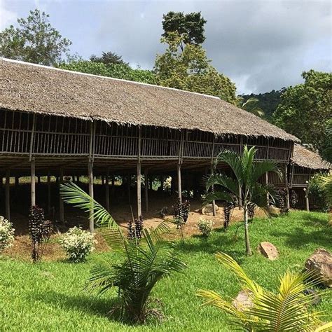 rumah panjang tradisional rungus  kudat sabah borneo
