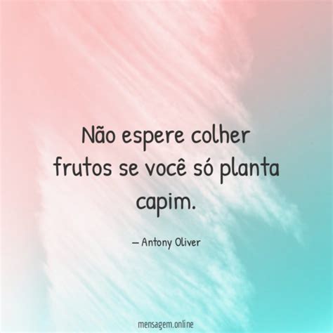 TUDO O QUE VOCÊ PLANTA UM DIA VOCÊ COLHE Se você quer colher no futuro