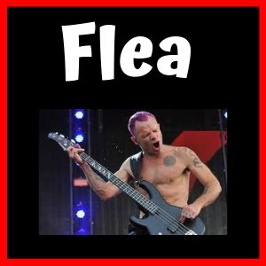 Bajista De Red Hot Chili Peppers FLEA Bajos Bio Estilo