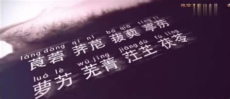 爆红抖音和网络的《生僻字》歌曲之中医药版，惊叹中华5千年智慧