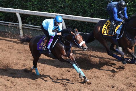 【京都大賞典追い切り】ブローザホーンに宝塚記念勝ちの反動なし！ 秋初戦好発進へ「京都外回りは好相性の舞台」（東スポ競馬）｜dメニューニュース