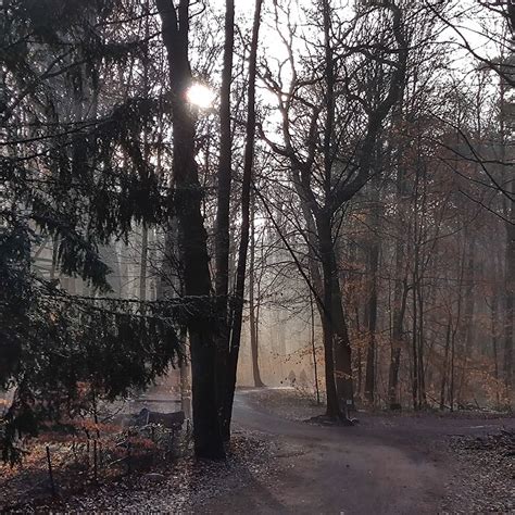 Gehoelz Unterwegs Ber Uns Bergedorfer Museumslandschaft