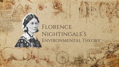 SOLUTION Florence Nightingale Environmental Theory Studypool