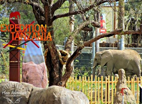 Reid Park Zoo Tucson Tucson Az Endangered Zoo Arizona Bucket List