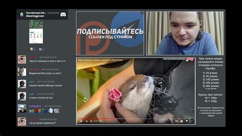 Маргинал мягко про ислам - YouTube