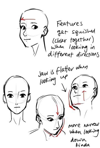 Face Angles Reference Female Face Angles Reference Face Angles Reference ` Face Angles