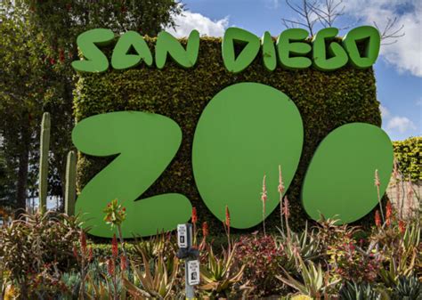 San Diego Zoo Parking Guide 2021 (How To Save Money)