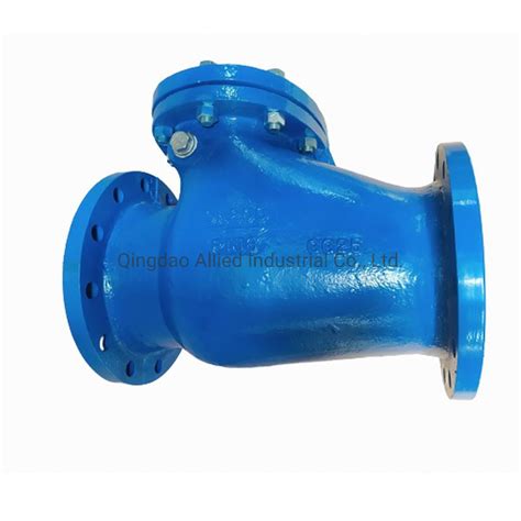 Gray Cast Iron Ductile Iron Flange End Rubber Seated Non Return Swing