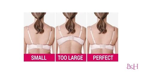 Ill Fitting Bra Top 5 Signs Bras And Honey Usa