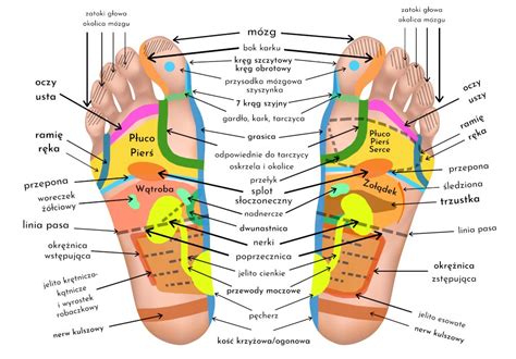 Receptory Na Stopach Jak Masowa Blog Acus Med