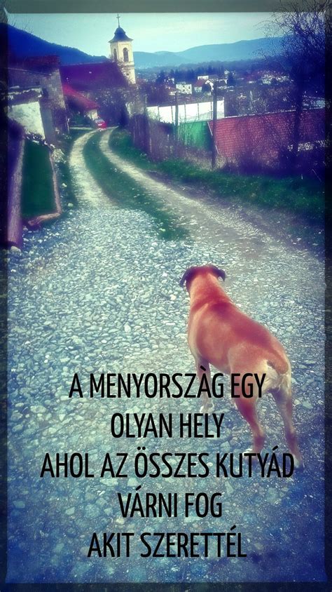 Pin di Huan Marco su Gyorsmentések