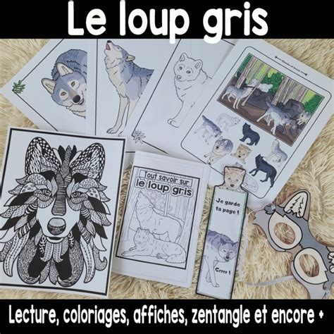 Le Loup Gris Lecture Et Activit S