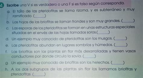 Escribe Una V Si Es Verdadero O Una F Si Es Falso Seg N Corresponda