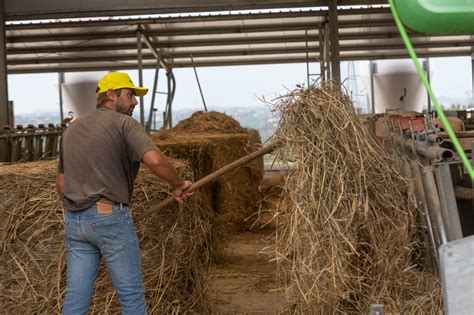 Dl Aiuti Ter Sostegno Per Agricoltura E Pesca