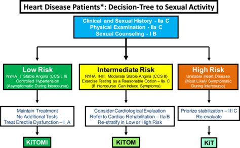 Sexual Activity And Heart Patients A Contemporary Perspective