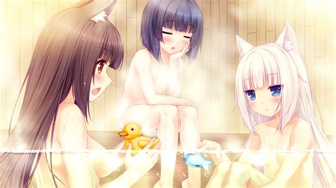 Catgirl Harem Game Review Nekopara Vol Hentaireviews