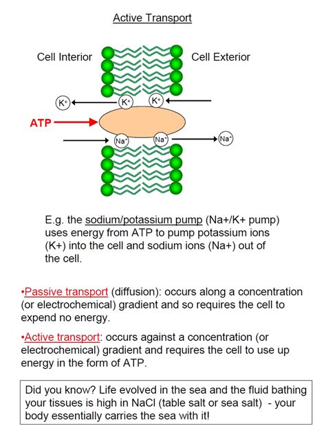 Membranes