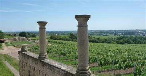 Villa Rustica Und Kelter Bei Bad D Rkheim Atlas Der Weinkultur In