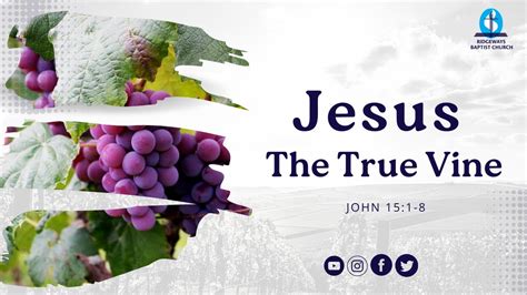 Jesus The True Vine John 151 8 Sunday Service Ridgeways Baptist