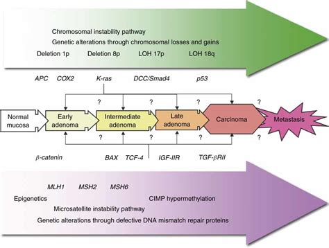 Microsatellite Instability In Colorectal Cancer Söreide 2006 Bjs