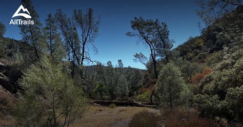 Central Coast Hiking Trails | List | AllTrails