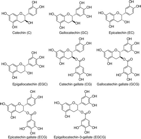 Chemical Structures Of Green Tea Catechins Download Scientific Diagram