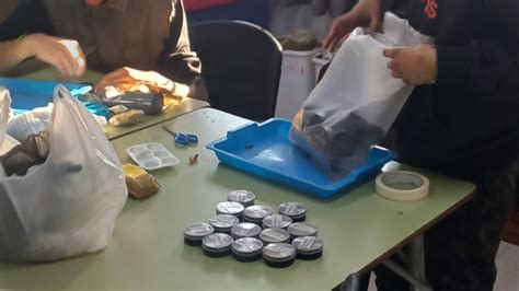 Vida Sustentable El hábito de la alimentación en la Escuela