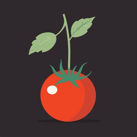 Tomato Clip Art Vector Illustration Vector Art At Vecteezy