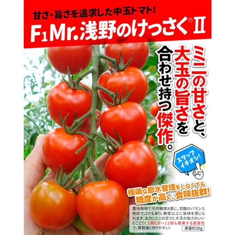 （早期予約販売たね）種 野菜たね トマト F1mr浅野のけっさく（r） Ii 1袋（15粒）中玉トマト 25年春発送【送料グループ