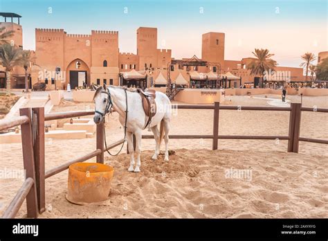 Stall With Thoroughbred Arab Horses Near An Ancient Village In The