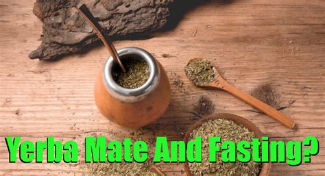 Yerba Mate And Intermittent Fasting For Fat-Loss (GUIDE) - Yerba Mate Lab