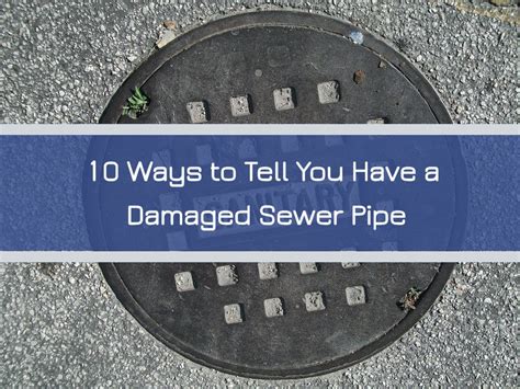 10 Ways To Tell You Have A Damaged Sewer Pipe