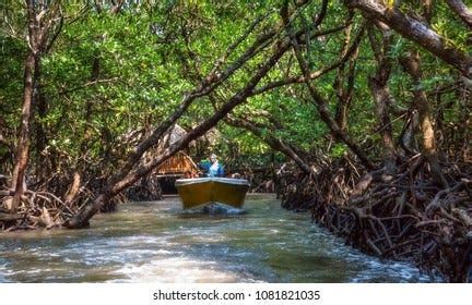Baratang. Baratang is another beautiful… | by Andaman Emerald Holidays ...